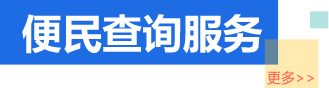 便民查询服务